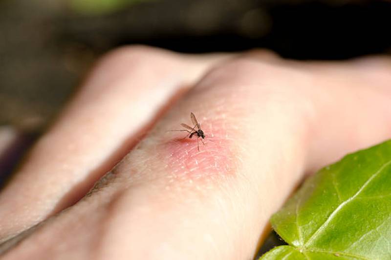 pouvoir profiter de son jardin sans moustiques en été