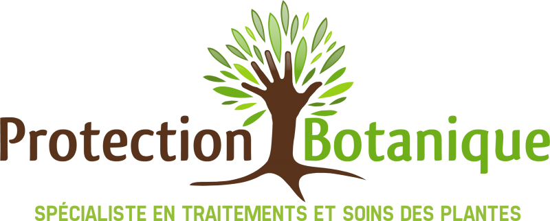  PROTECT HOME 3D travaille en étroite collaboration avec PROTECTION BOTANIQUE sur la région PACA.  Spécialisée dans le traitement de palmiers et de la végétation, PROTECTION BOTANIQUE vous apportera toute son expérience et son savoir faire dans la prévent